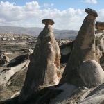 tree-beauty-cappadocia